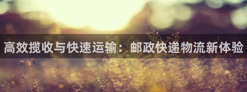 官方usdt钱包