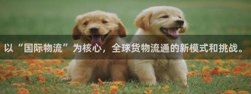 usdt钱包erc20