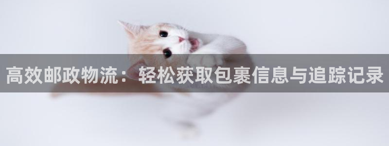 usdt分为哪几种