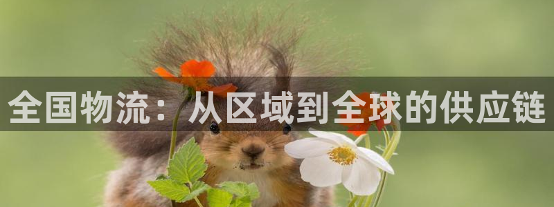 usdt资产冻结怎么处理