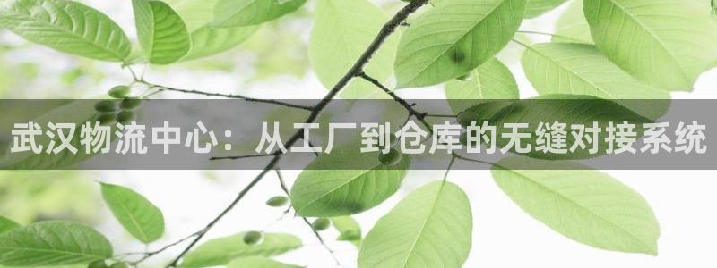 usdt提现怎么弄
