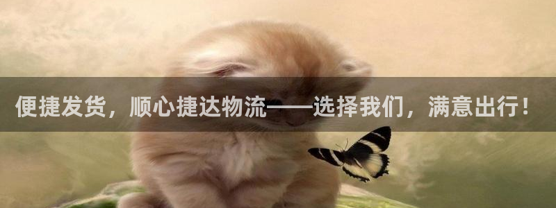 usdt钱包ios在哪下载