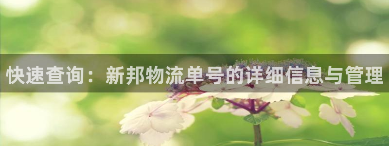 usdt在哪下载