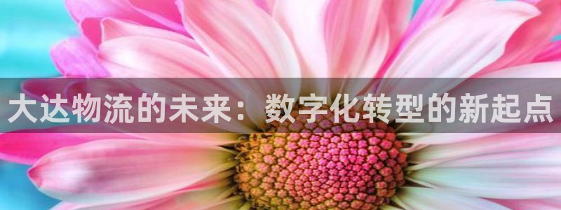 USDT钱包下载安装脚本之家删了