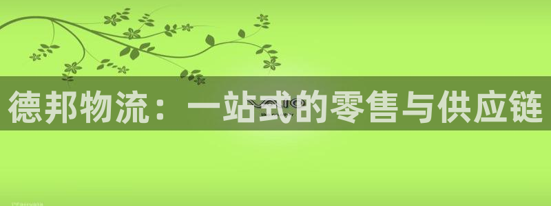 USDT的钱包网址在哪里看