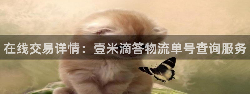 币币usdt
