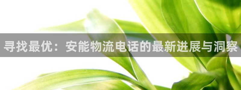 usdt钱包官方下载平台都有哪些