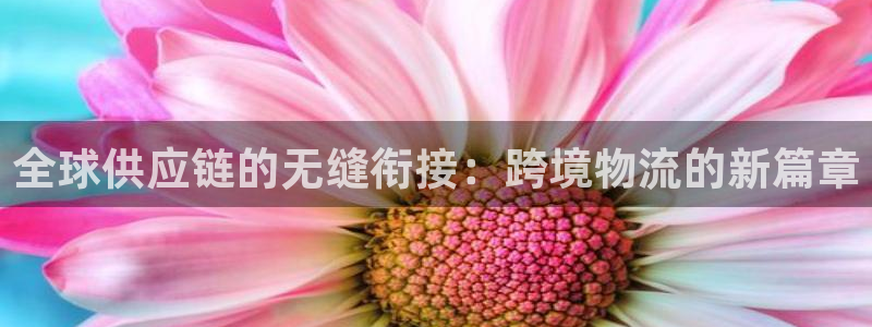 usdt充值 二维码怎么用