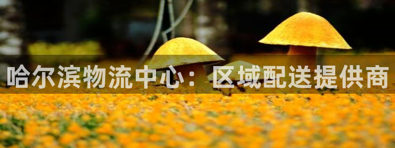 usdt钱包地址在哪里看