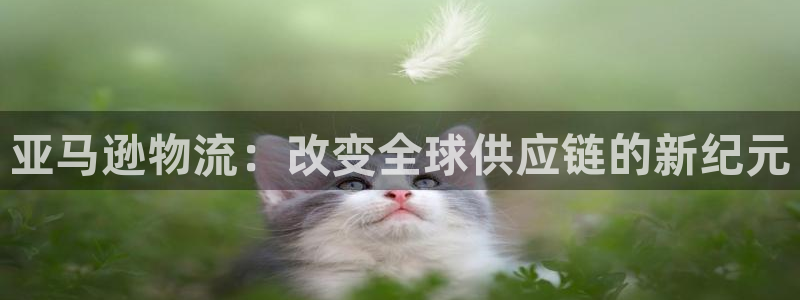 usdt哪个交易所买最便宜