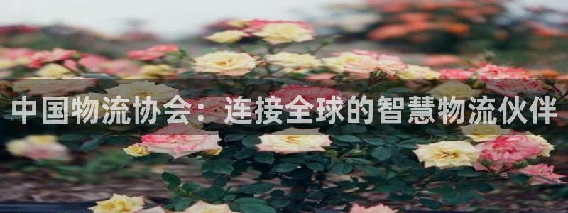 usdt官网网址