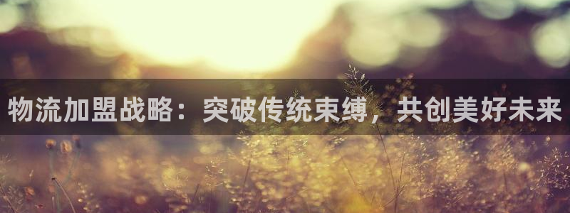 usdt帐号注册：物流加盟战略：突破传统束缚，共创美好未来