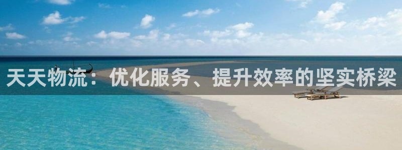 怎么开usdt帐号：天天物流：优化服务、提升效率的坚实桥梁