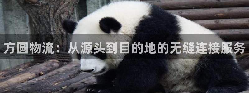 怎样获得usdt钱包地址